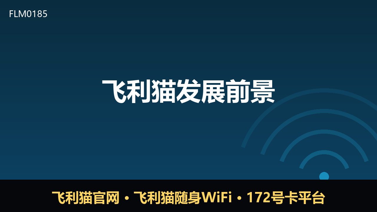 飞利猫前景几何？随身WiFi与号卡赛道观察